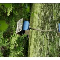 Kisdorferwohld-Endern-Teich